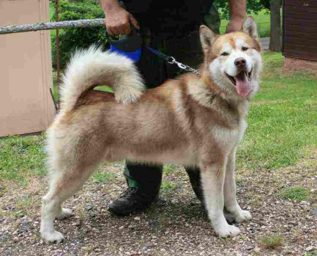 Bonitace červen 2012